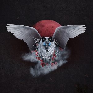 日乐山老少妇多毛逼
