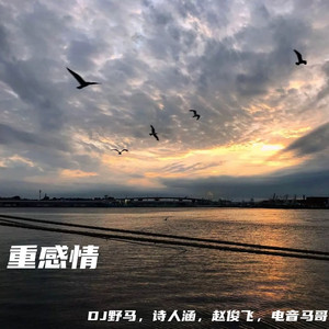 日乐山老少妇多毛逼
