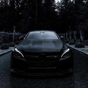 日乐山老少妇多毛逼
